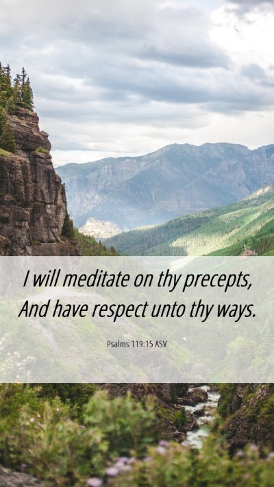 Picture 06 - Psalms 119:15 ASV Mobile Phone Wallpaper - I will meditate on thy precepts, And have respect - Mobile Bible Verse Wallpaper