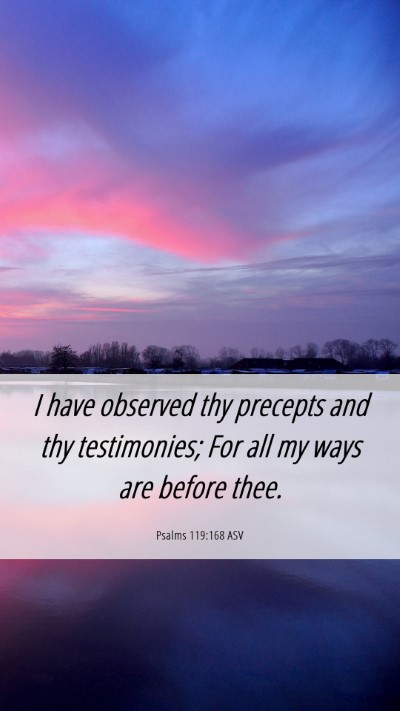 Picture 06 - Psalms 119:168 ASV Mobile Phone Wallpaper - I have observed thy precepts and thy testimonies; - Mobile Bible Verse Wallpaper