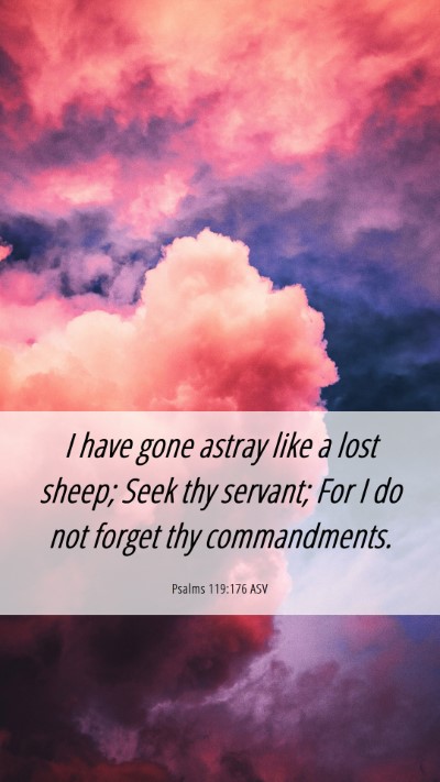 Picture 06 - Psalms 119:176 ASV Mobile Phone Wallpaper - I have gone astray like a lost sheep; Seek thy - Mobile Bible Verse Wallpaper