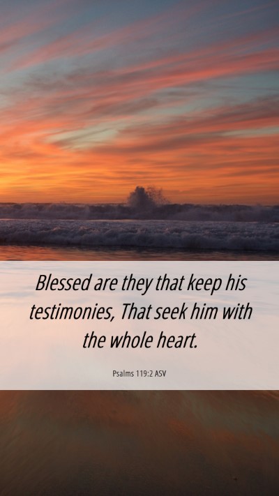 Picture 06 - Psalms 119:2 ASV Mobile Phone Wallpaper - Blessed are they that keep his testimonies, That - Mobile Bible Verse Wallpaper