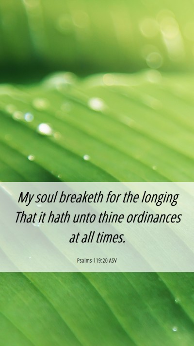 Picture 06 - Psalms 119:20 ASV Mobile Phone Wallpaper - My soul breaketh for the longing That it hath - Mobile Bible Verse Wallpaper