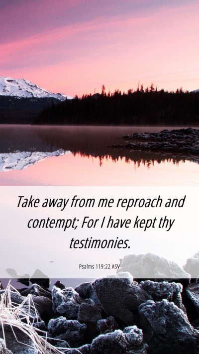 Picture 06 - Psalms 119:22 ASV Mobile Phone Wallpaper - Take away from me reproach and contempt; For I - Mobile Bible Verse Wallpaper