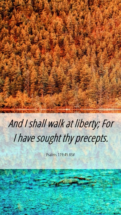 Picture 06 - Psalms 119:45 ASV Mobile Phone Wallpaper - And I shall walk at liberty; For I have sought - Mobile Bible Verse Wallpaper