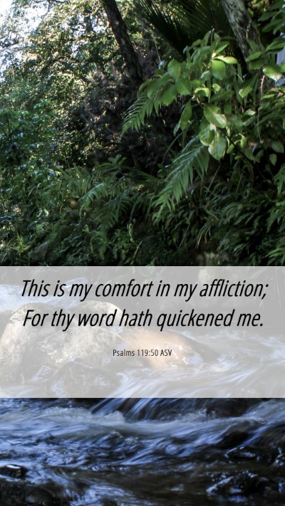 Picture 06 - Psalms 119:50 ASV Mobile Phone Wallpaper - This is my comfort in my affliction; For thy word - Mobile Bible Verse Wallpaper