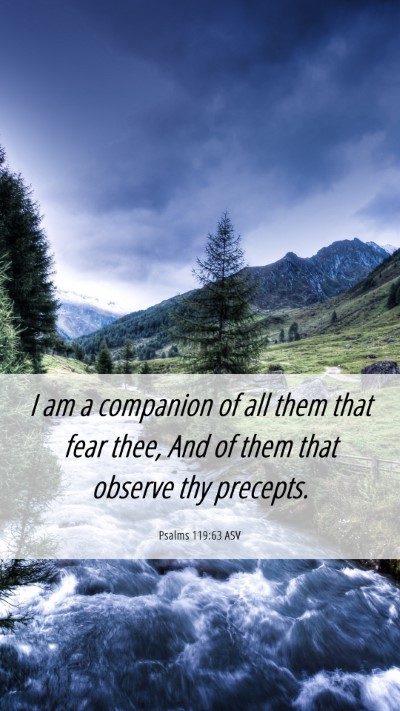 Picture 06 - Psalms 119:63 ASV Mobile Phone Wallpaper - I am a companion of all them that fear thee, And - Mobile Bible Verse Wallpaper