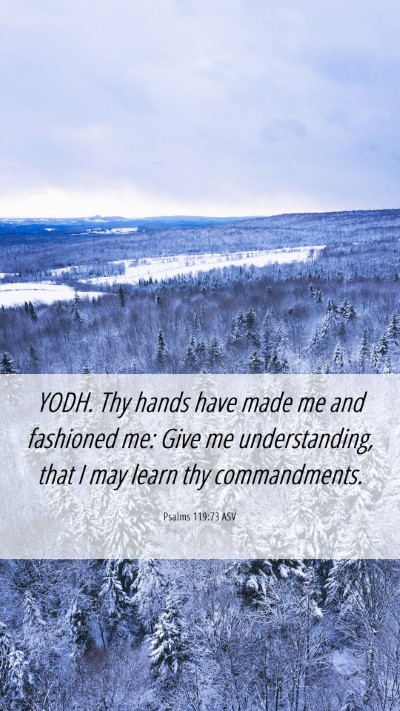 Picture 06 - Psalms 119:73 ASV Mobile Phone Wallpaper - YODH. Thy hands have made me and fashioned me: - Mobile Bible Verse Wallpaper