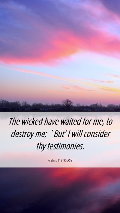 Picture 06 - Psalms 119:95 ASV Mobile Phone Wallpaper - The wicked have waited for me, to destroy me; - Mobile Bible Verse Wallpaper