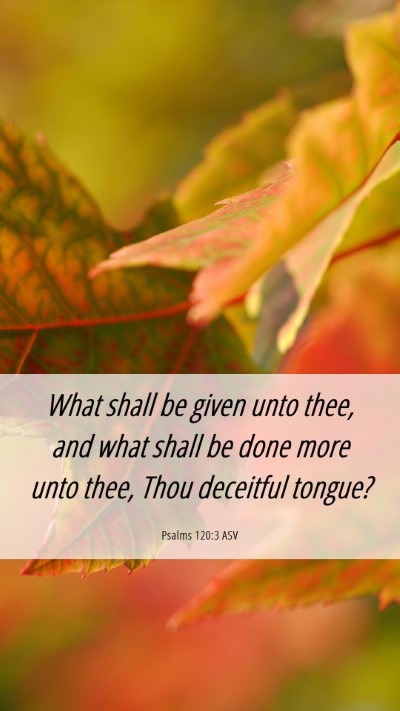 Picture 06 - Psalms 120:3 ASV Mobile Phone Wallpaper - What shall be given unto thee, and what shall be - Mobile Bible Verse Wallpaper