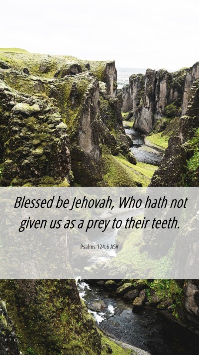 Picture 06 - Psalms 124:6 ASV Mobile Phone Wallpaper - Blessed be Jehovah, Who hath not given us as a - Mobile Bible Verse Wallpaper