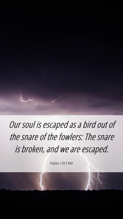 Picture 06 - Psalms 124:7 ASV Mobile Phone Wallpaper - Our soul is escaped as a bird out of the snare of - Mobile Bible Verse Wallpaper