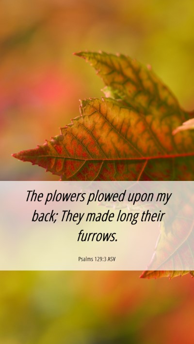 Picture 06 - Psalms 129:3 ASV Mobile Phone Wallpaper - The plowers plowed upon my back; They made long - Mobile Bible Verse Wallpaper