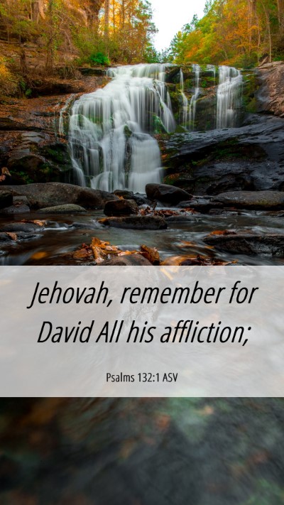 Picture 06 - Psalms 132:1 ASV Mobile Phone Wallpaper - Jehovah, remember for David All his - Mobile Bible Verse Wallpaper