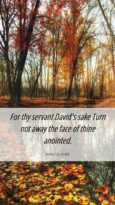 Picture 06 - Psalms 132:10 ASV Mobile Phone Wallpaper - For thy servant David's sake Turn not away the - Mobile Bible Verse Wallpaper