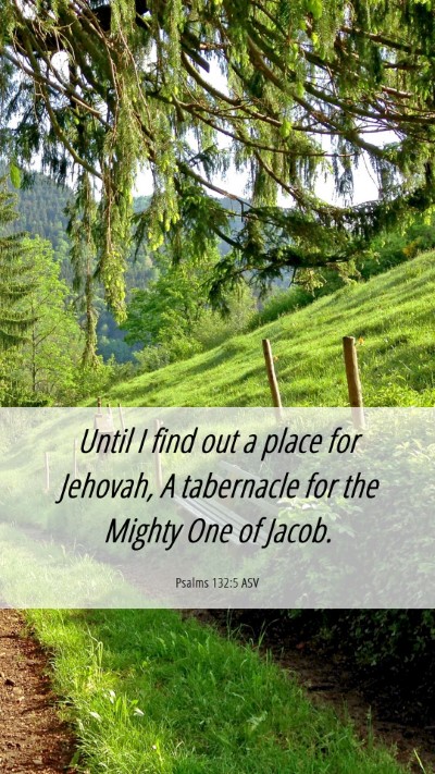 Picture 06 - Psalms 132:5 ASV Mobile Phone Wallpaper - Until I find out a place for Jehovah, A - Mobile Bible Verse Wallpaper