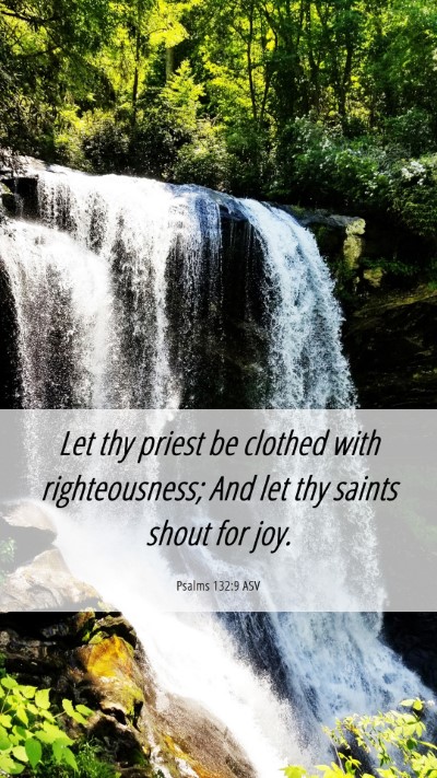 Picture 06 - Psalms 132:9 ASV Mobile Phone Wallpaper - Let thy priest be clothed with righteousness; And - Mobile Bible Verse Wallpaper
