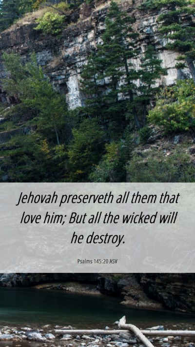 Picture 06 - Psalms 145:20 ASV Mobile Phone Wallpaper - Jehovah preserveth all them that love him; But - Mobile Bible Verse Wallpaper
