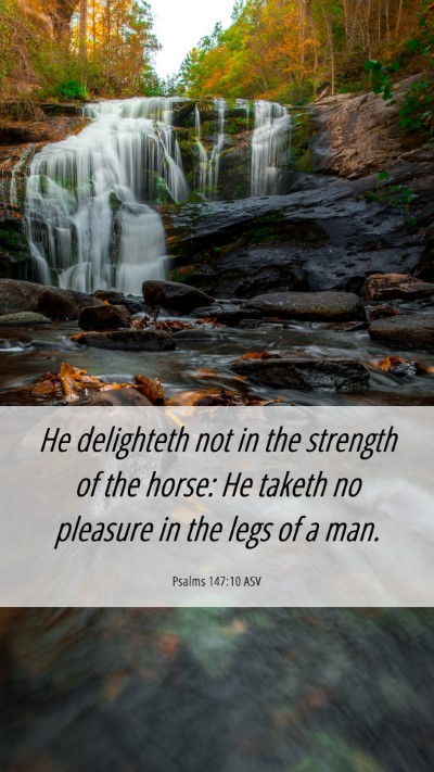Picture 06 - Psalms 147:10 ASV Mobile Phone Wallpaper - He delighteth not in the strength of the horse: - Mobile Bible Verse Wallpaper
