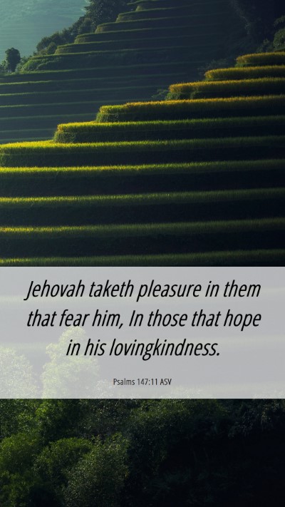 Picture 06 - Psalms 147:11 ASV Mobile Phone Wallpaper - Jehovah taketh pleasure in them that fear him, In - Mobile Bible Verse Wallpaper