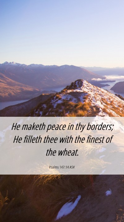 Picture 06 - Psalms 147:14 ASV Mobile Phone Wallpaper - He maketh peace in thy borders; He filleth thee - Mobile Bible Verse Wallpaper
