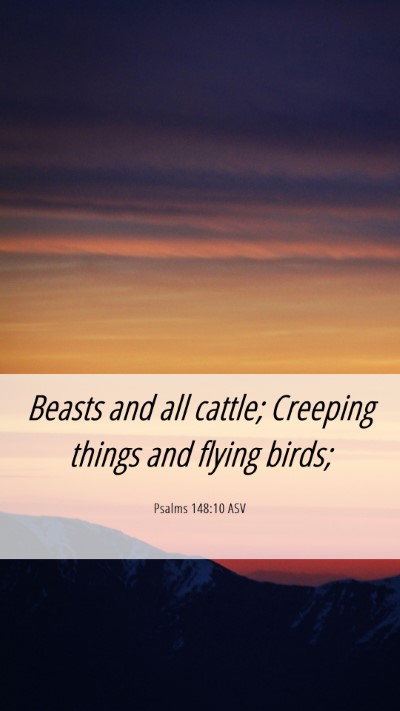 Picture 06 - Psalms 148:10 ASV Mobile Phone Wallpaper - Beasts and all cattle; Creeping things and flying - Mobile Bible Verse Wallpaper