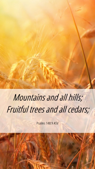 Picture 06 - Psalms 148:9 ASV Mobile Phone Wallpaper - Mountains and all hills; Fruitful trees and all - Mobile Bible Verse Wallpaper