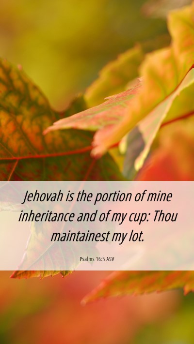 Picture 06 - Psalms 16:5 ASV Mobile Phone Wallpaper - Jehovah is the portion of mine inheritance and of - Mobile Bible Verse Wallpaper