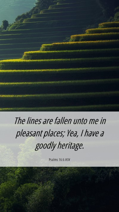 Picture 06 - Psalms 16:6 ASV Mobile Phone Wallpaper - The lines are fallen unto me in pleasant places; - Mobile Bible Verse Wallpaper
