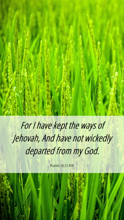 Picture 06 - Psalms 18:21 ASV Mobile Phone Wallpaper - For I have kept the ways of Jehovah, And have not - Mobile Bible Verse Wallpaper