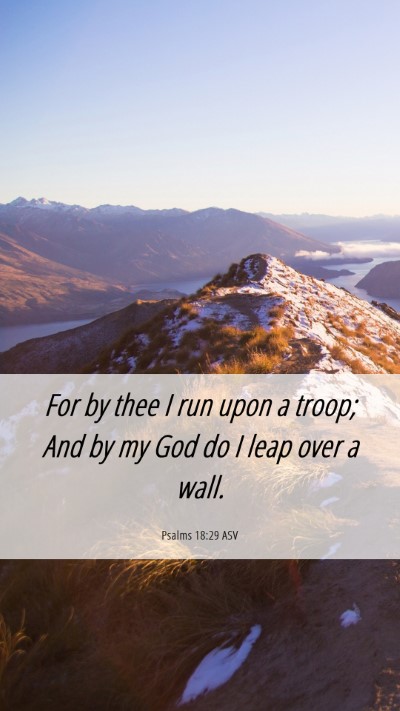 Picture 06 - Psalms 18:29 ASV Mobile Phone Wallpaper - For by thee I run upon a troop; And by my God do - Mobile Bible Verse Wallpaper