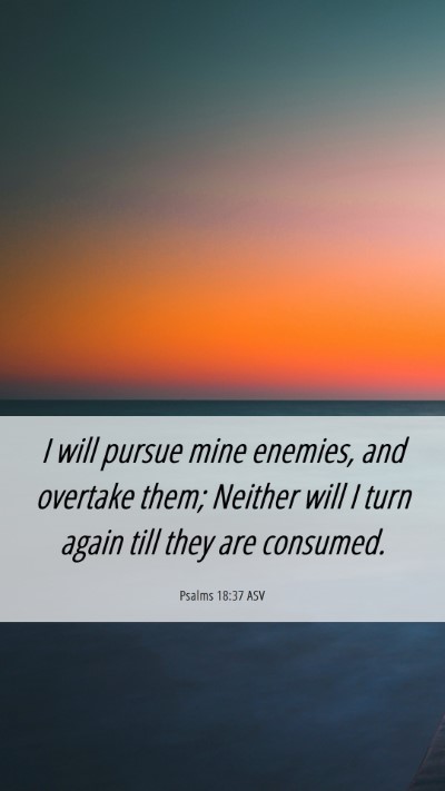 Picture 06 - Psalms 18:37 ASV Mobile Phone Wallpaper - I will pursue mine enemies, and overtake them; - Mobile Bible Verse Wallpaper
