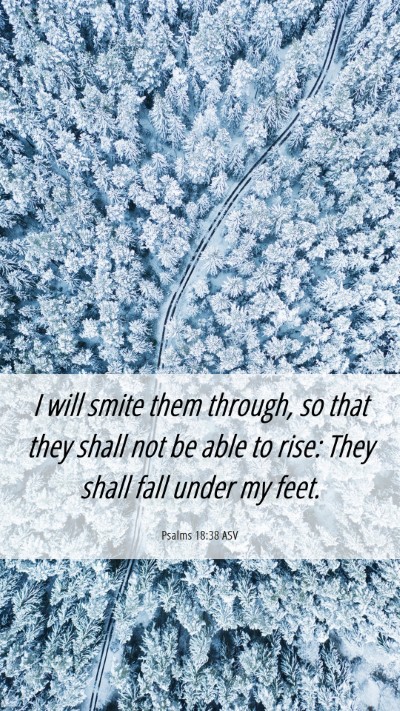 Picture 06 - Psalms 18:38 ASV Mobile Phone Wallpaper - I will smite them through, so that they shall not - Mobile Bible Verse Wallpaper