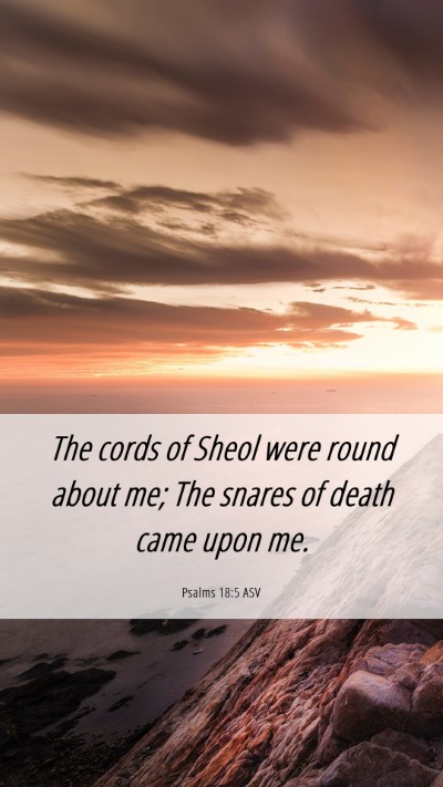 Picture 06 - Psalms 18:5 ASV Mobile Phone Wallpaper - The cords of Sheol were round about me; The - Mobile Bible Verse Wallpaper