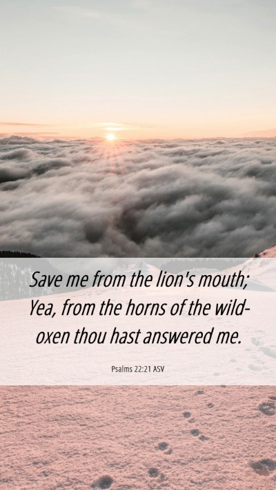 Picture 06 - Psalms 22:21 ASV Mobile Phone Wallpaper - Save me from the lion's mouth; Yea, from the - Mobile Bible Verse Wallpaper