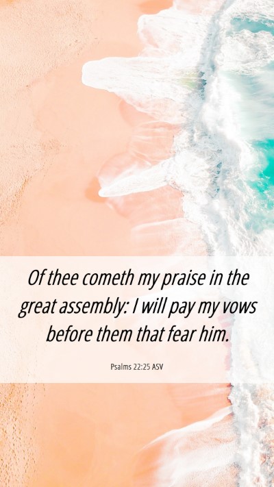 Picture 06 - Psalms 22:25 ASV Mobile Phone Wallpaper - Of thee cometh my praise in the great assembly: I - Mobile Bible Verse Wallpaper