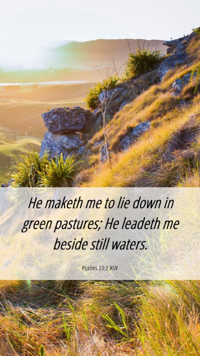 Picture 06 - Psalms 23:2 ASV Mobile Phone Wallpaper - He maketh me to lie down in green pastures; He - Mobile Bible Verse Wallpaper