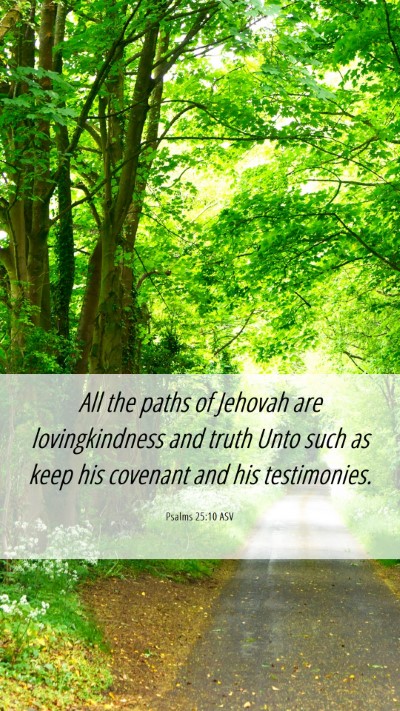 Picture 06 - Psalms 25:10 ASV Mobile Phone Wallpaper - All the paths of Jehovah are lovingkindness and - Mobile Bible Verse Wallpaper