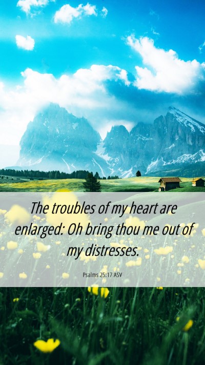 Picture 06 - Psalms 25:17 ASV Mobile Phone Wallpaper - The troubles of my heart are enlarged: Oh bring - Mobile Bible Verse Wallpaper