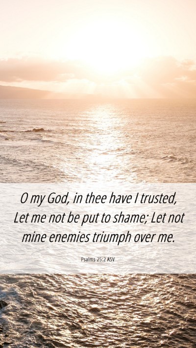 Picture 06 - Psalms 25:2 ASV Mobile Phone Wallpaper - O my God, in thee have I trusted, Let me not be - Mobile Bible Verse Wallpaper