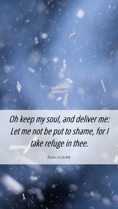 Picture 06 - Psalms 25:20 ASV Mobile Phone Wallpaper - Oh keep my soul, and deliver me: Let me not be - Mobile Bible Verse Wallpaper