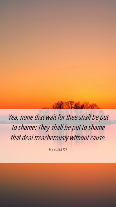 Picture 06 - Psalms 25:3 ASV Mobile Phone Wallpaper - Yea, none that wait for thee shall be put to - Mobile Bible Verse Wallpaper