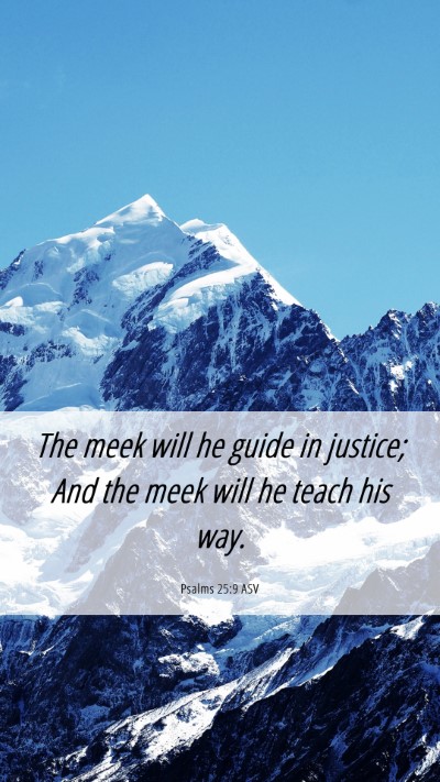 Picture 06 - Psalms 25:9 ASV Mobile Phone Wallpaper - The meek will he guide in justice; And the meek - Mobile Bible Verse Wallpaper