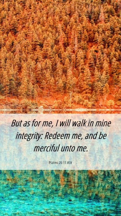 Picture 06 - Psalms 26:11 ASV Mobile Phone Wallpaper - But as for me, I will walk in mine integrity: - Mobile Bible Verse Wallpaper