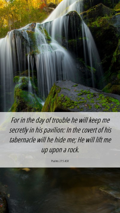 Picture 06 - Psalms 27:5 ASV Mobile Phone Wallpaper - For in the day of trouble he will keep me - Mobile Bible Verse Wallpaper