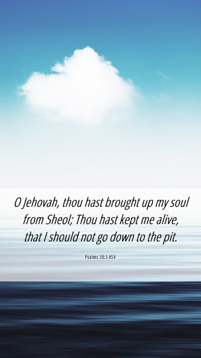 Picture 06 - Psalms 30:3 ASV Mobile Phone Wallpaper - O Jehovah, thou hast brought up my soul from - Mobile Bible Verse Wallpaper