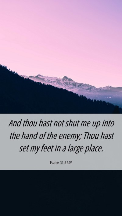 Picture 06 - Psalms 31:8 ASV Mobile Phone Wallpaper - And thou hast not shut me up into the hand of the - Mobile Bible Verse Wallpaper