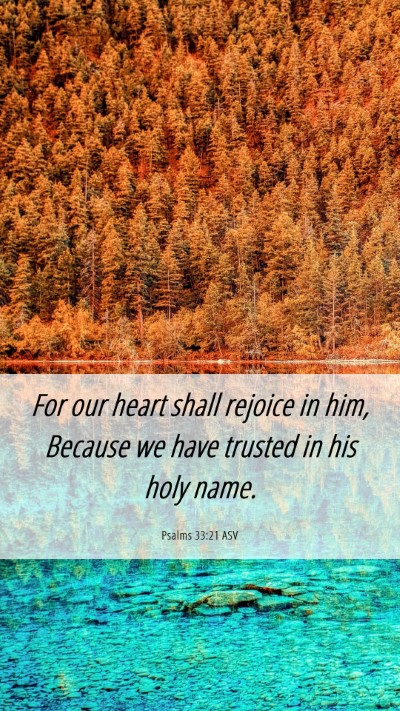 Picture 06 - Psalms 33:21 ASV Mobile Phone Wallpaper - For our heart shall rejoice in him, Because we - Mobile Bible Verse Wallpaper