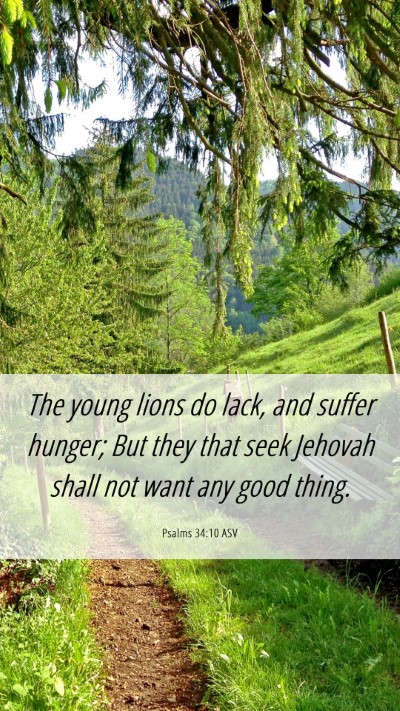 Picture 06 - Psalms 34:10 ASV Mobile Phone Wallpaper - The young lions do lack, and suffer hunger; But - Mobile Bible Verse Wallpaper