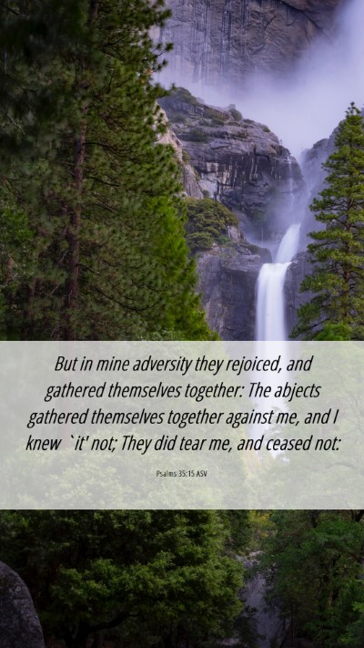 Picture 06 - Psalms 35:15 ASV Mobile Phone Wallpaper - But in mine adversity they rejoiced, and gathered - Mobile Bible Verse Wallpaper