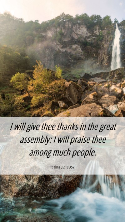Picture 06 - Psalms 35:18 ASV Mobile Phone Wallpaper - I will give thee thanks in the great assembly: I - Mobile Bible Verse Wallpaper