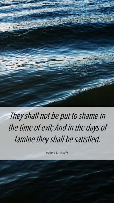 Picture 06 - Psalms 37:19 ASV Mobile Phone Wallpaper - They shall not be put to shame in the time of - Mobile Bible Verse Wallpaper